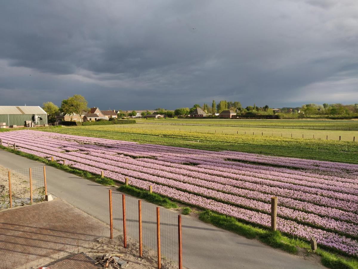 Tulpenhoek Akersloot Ngoại thất bức ảnh